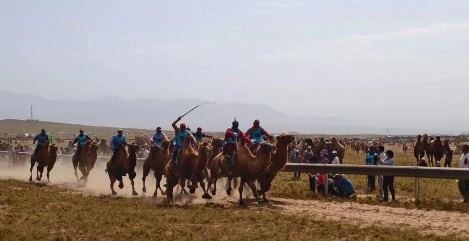 带来了一场, 白静, webki