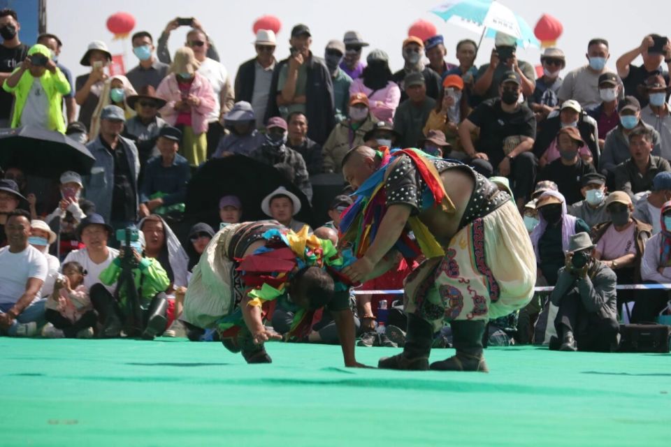 能在草原上, 龙龙
